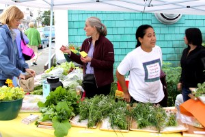 Lisa Sadleir-Hart, Maybelle Filler and Hilary Martin sell produce at the Sitka Farmers Market booth on July 18.