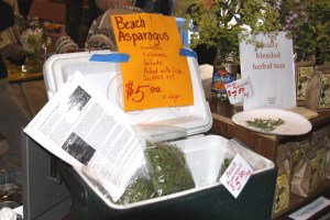 BeachAsparagusGimbalBotanicals Gimbal Botanicals sold beach asparagus