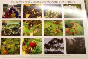 KayaaniCommissionCalendarBack