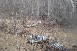 Barren land before it was cleared to become the WISEGUYS potato patch in Klukwan