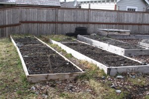 Barren garden beds wait to be prepared for planting at St. Peter's Fellowship Farm Barren garden beds wait to be prepared for planting at St. Peter's Fellowship Farm