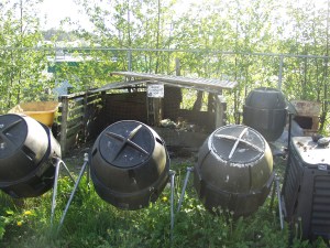 Compost bins at Blatchley Community Garden