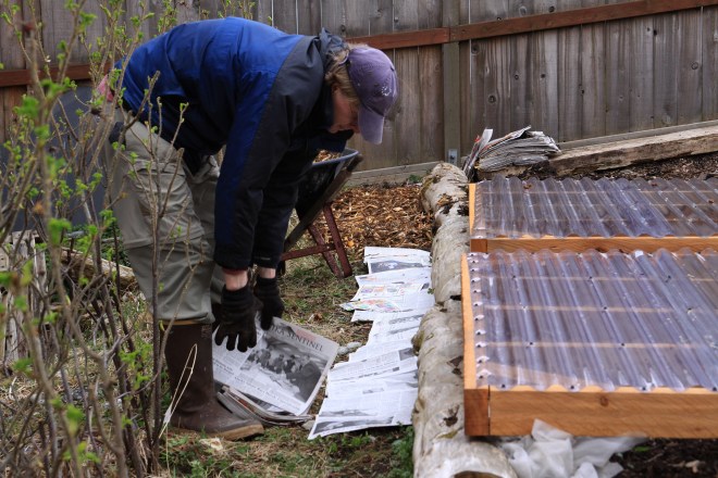 DougOsbornePutsNewspapersByColdFrame