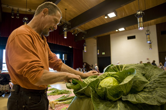BIG PRODUCE – Sitka gardener Keith Nyitray arranges the leaves on his 17-pound cabbage Sunday during the second annual Sitka “State” Fair at Harrigan Centennial Hall. The cabbage earned a blue ribbon at the fair, which had categories for vegetables, jams, hobbies, crafts, photography and spam hors d’oeuvres, among others. The event included music by the SitNiks and performances by Celtic dancers. (Daily Sitka Sentinel Photo by James Poulson)