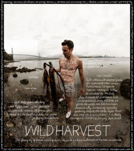 WildHarvest