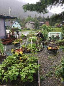 Lisa Sadeir-Hart works in Anam Cara Garden