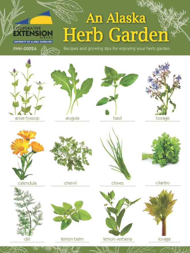 Herb-Book-cover_Page_1