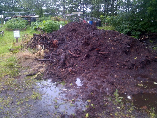 IMG-20150728-00480dirt