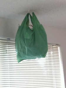 HangingKaleSeedPodBagphoto