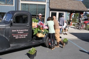 LoriAdamsDownToEarthUPickGardenTruck