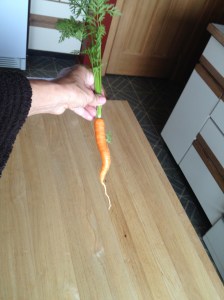 Tammy O'Neill with her first carrot