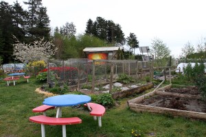 BlatchleyCommunityGardenPicnicTableAndBeds