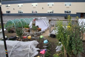 MiddleOfBlatchleyCommunityGarden