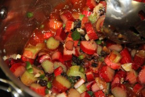 RhubarbJalapenoChutneyOnStove