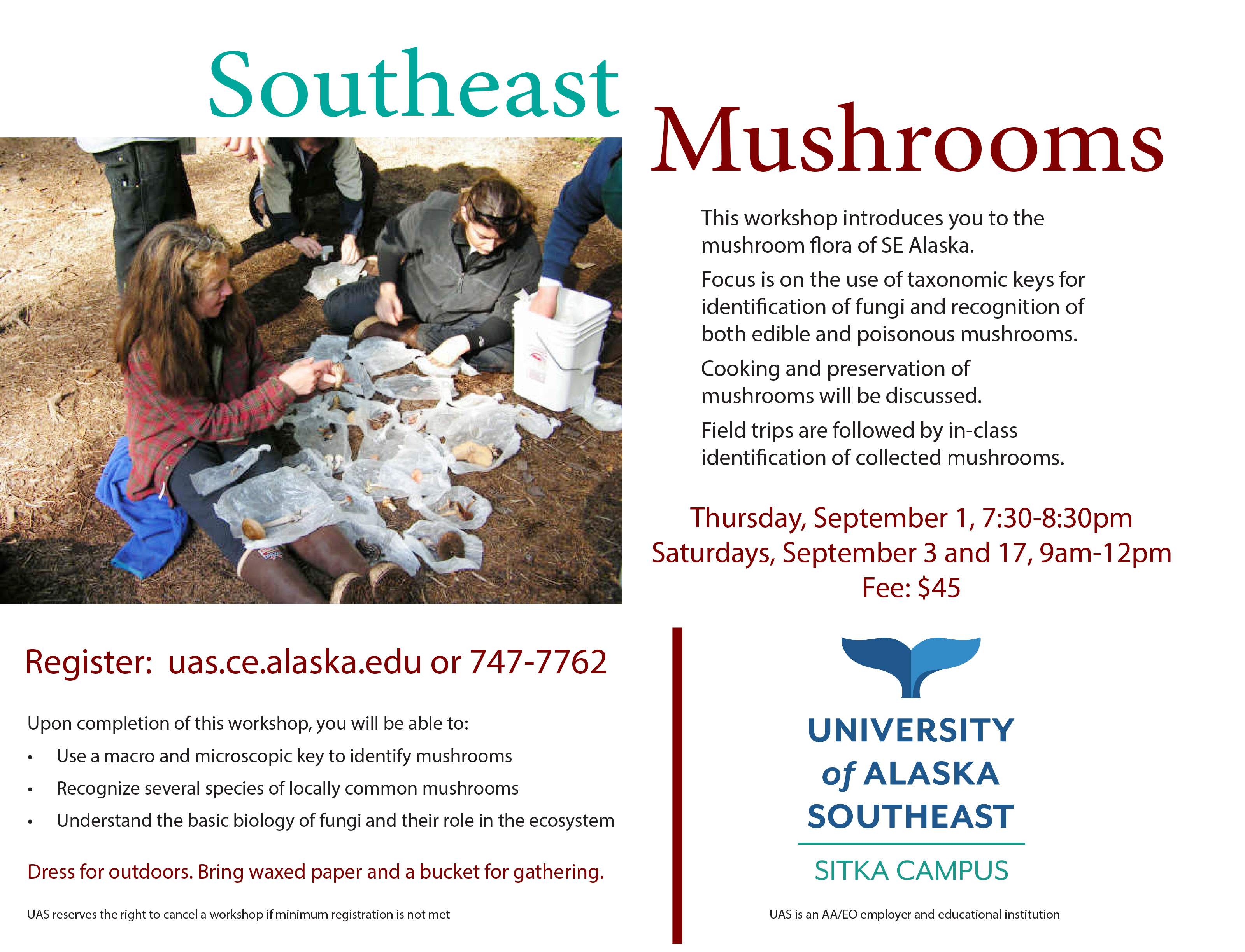 SE mushrooms Flyer 2016