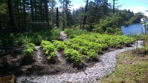 WP_20160704_11_00_23_Pro