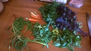 WP_20160707_18_03_42_Pro