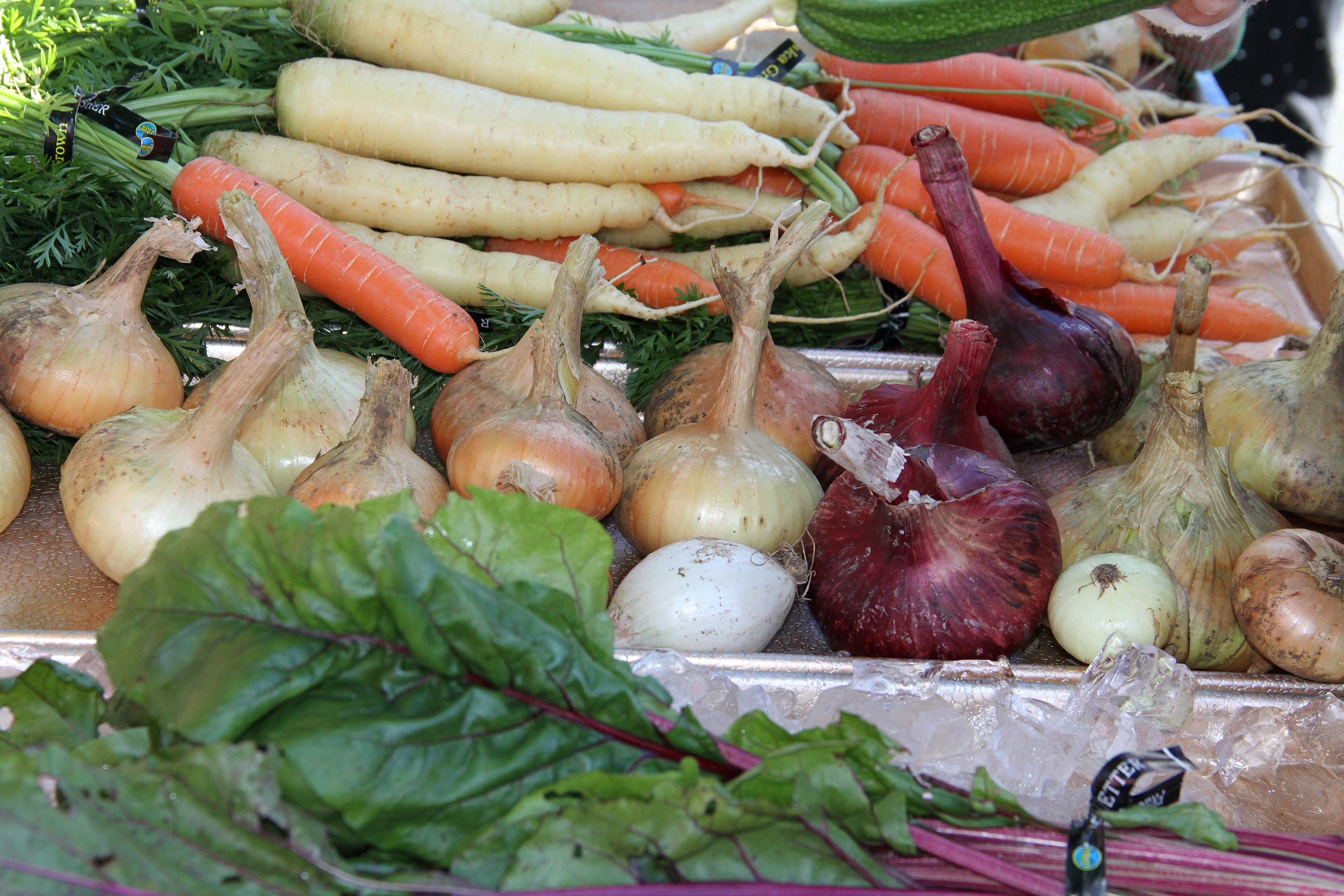 SLFNBoothOnionsCarrots